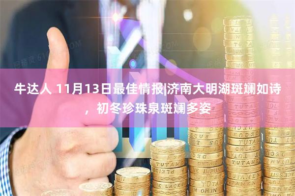 牛达人 11月13日最佳情报|济南大明湖斑斓如诗，初冬珍珠泉斑斓多姿