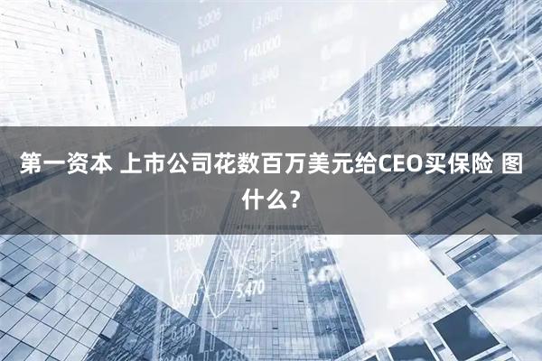 第一资本 上市公司花数百万美元给CEO买保险 图什么？