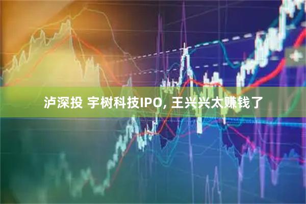 泸深投 宇树科技IPO, 王兴兴太赚钱了